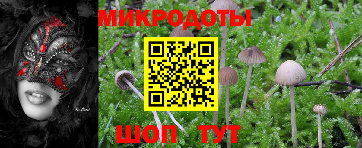 Галлюциногенные грибы Psilocybine cubensis Новокуйбышевск