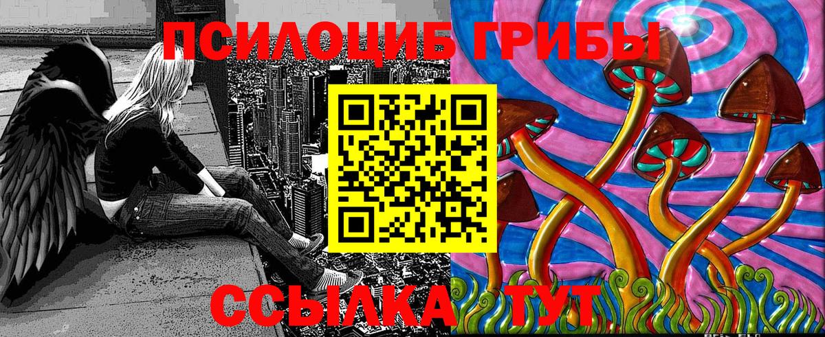 Псилоцибиновые грибы Cubensis  Вход с VPN  Новокуйбышевск 